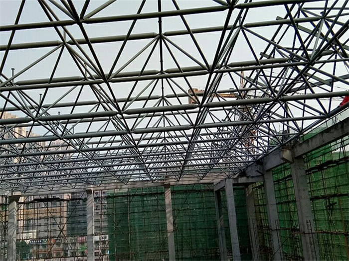 雅安光谷第十一小学网架